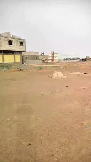 اشتي أرنب من التربه