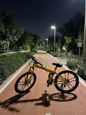 Mountain bike