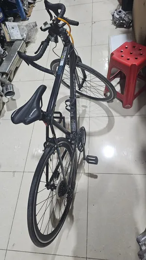 Bicycle Trinx Tempo 1.0