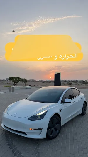 Standard 3 تسلا موديل