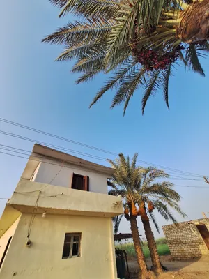 Farm Land for Sale in Fayoum Tamiya