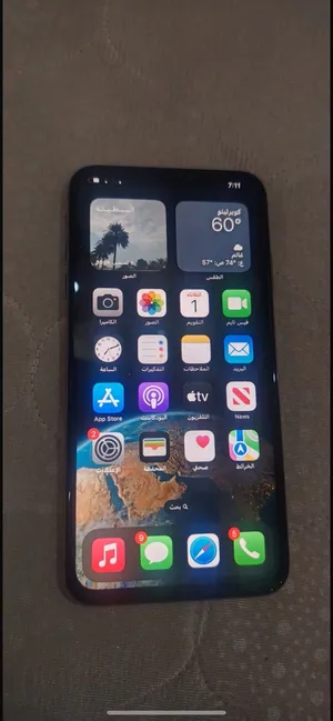 Apple iPhone XS Max 512 GB in Al Batinah