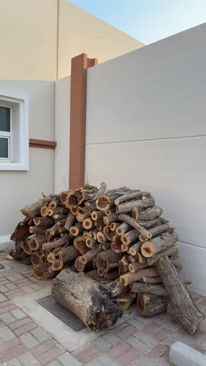 حطب سمر مقطع جاهز