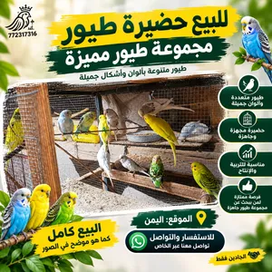 حضيرة كناري للبيع