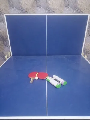 منضدة تنس lion فرنسية