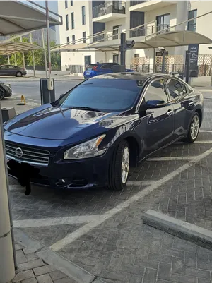 Used Nissan Maxima in Al Ain