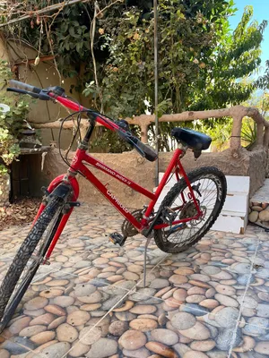للبيع بسكليت Capriolo Shimano