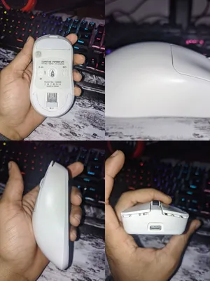 ماوس فئه عليا قيم ارينا بالباكو
