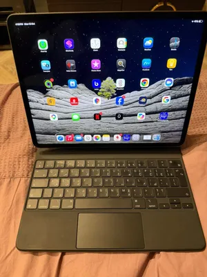 iPad Pro 12.9 inch 5th Generation 2021 + Magic Keyboard