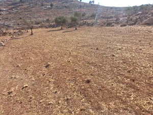 قطعة أرض للبيع او البدل