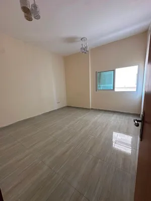 500 ft² Studio Apartments for Rent in Ajman Al- Jurf
