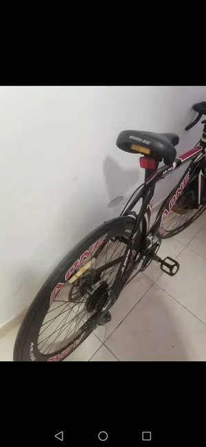 model 2024