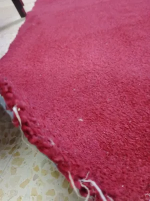 موكيت صوف ريشه ارتفاع 1سم لون خمري شبه جديد عرض 240 طول 4متر