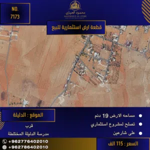 إعلان رقم (7173)  فرصة استثمارية استثنائية.. 19 دونم في الدليلة!