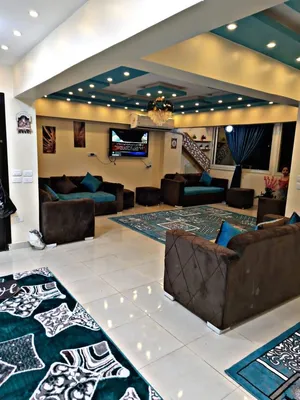 Furnished Daily in Cairo Zamalek