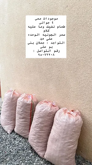 طعام اغنام نضيف وما عليه اي كلام