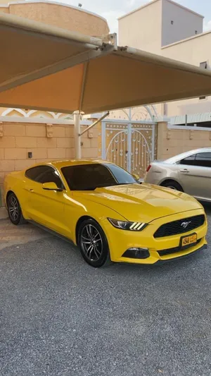 Used Ford Mustang in Muscat