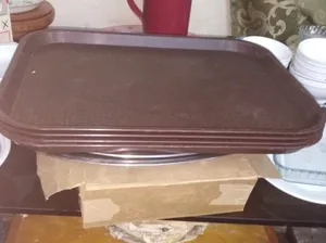 STONE, MELAMINE, STEEL&GLASS CROKERIES, DINNER PLATES, BOWLS MELAMINE SYNTHETIC FOOD SERVING TRAYS