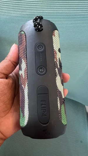 Wireless speaker