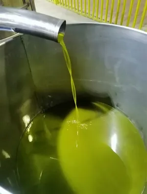 زيت زيتون بلدي