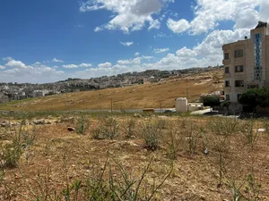 Residential Land for Sale in Amman Shafa Badran