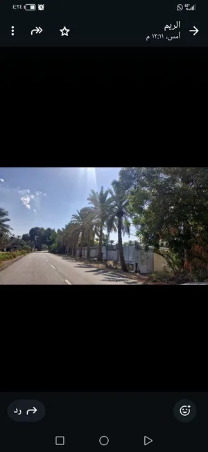 ارض زراعية للاستثمار أو الاجار صحار الخويريه