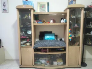Television Unit
