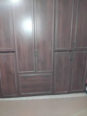 دولاب مهني