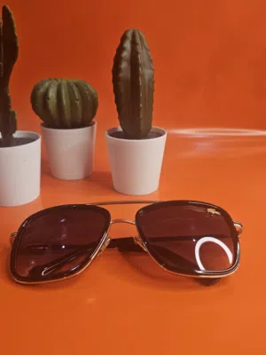 Branded Sunglasses – Ray-Ban, Montblanc, Police نظارات شمسية ماركات