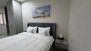 Furnished Daily in Muscat Al Khuwair