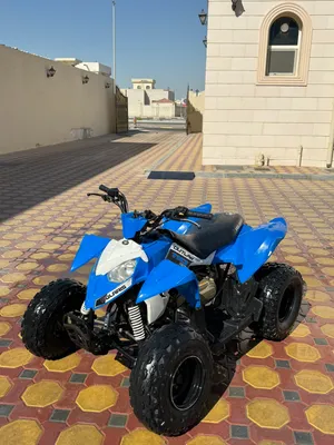 Polaris outlaw 110 atv