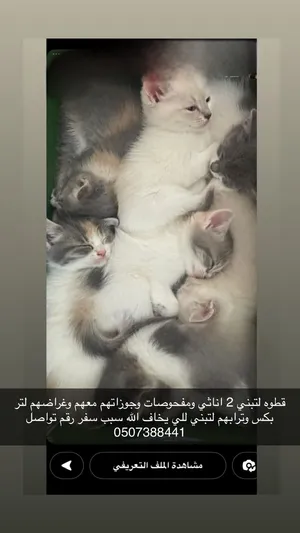 قطوتين لتبيني عمرها شهرين