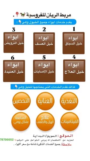 ايواء جميع الخيول