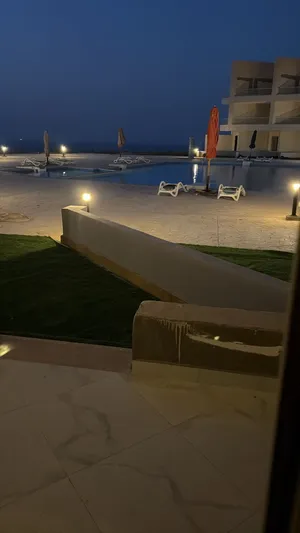 Studio Farms for Sale in Suez Ain Sokhna