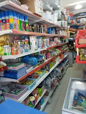 foodstuff and household & rady garments