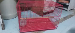 Birds Cage urgent sale