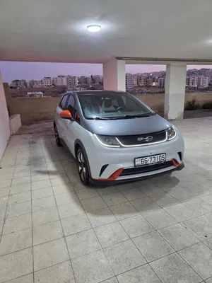 BYD dolphin night 2022