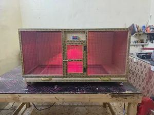 حاضنة افراخ دجاج حاضنة كتاكيت