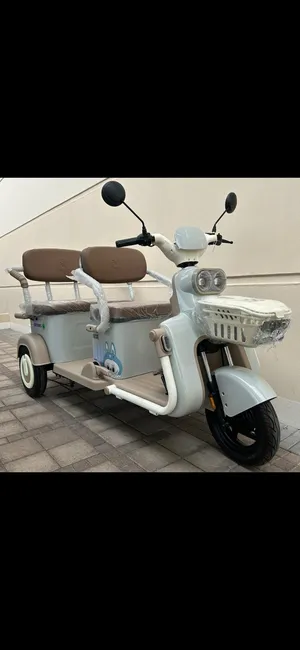ELECTRIC TRICYCLE FOR SALE PERFECT FOR FAMILYS WORKING CONDITION