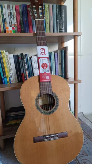 Alhambra 1C HT guitar (new - unused)