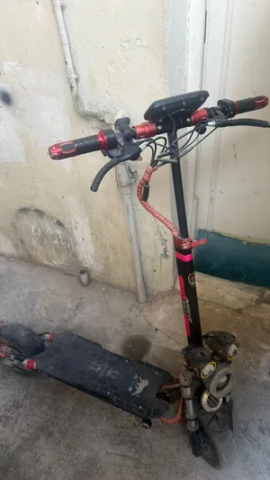 Aster E10 Pro High Powered Electric Scooter - Powerful 2000W / 48V