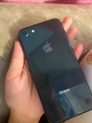 Apple iPhone 8 64 GB in Cairo
