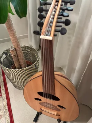 عود بحريني للبيع