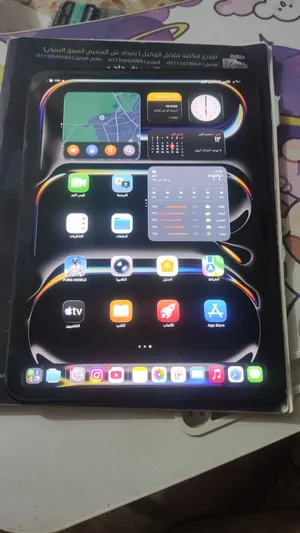 ipad pro11
