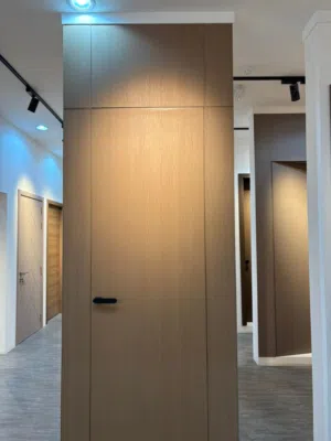 HIGH QUALITY INTERIEUR WATER PROOF SOUND PROOF HOME DOORS