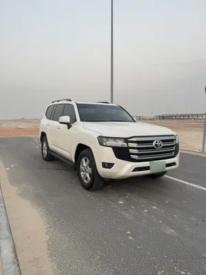 EXR 2024 صبغ وكاله
