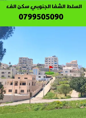 ارض في الشفا الجنوبي شفا العامريه