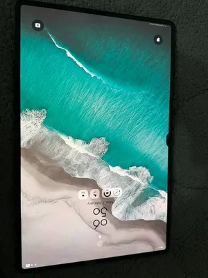 Samsung Galaxy Tab S8 Ultra 128 GB in Amman