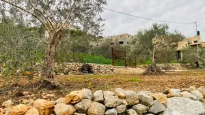ارض للبيع ظهرة شويكه