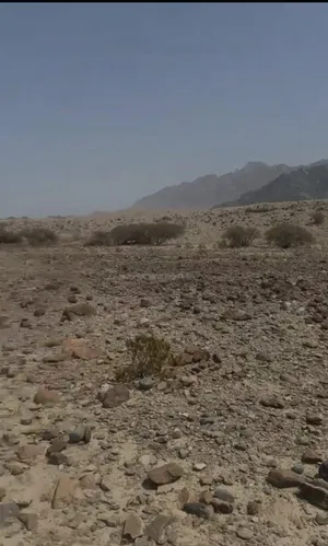 للبيع أرض سكنيه في العامرات مدينة النهضة الامتداد الأول جاهزة للبناء